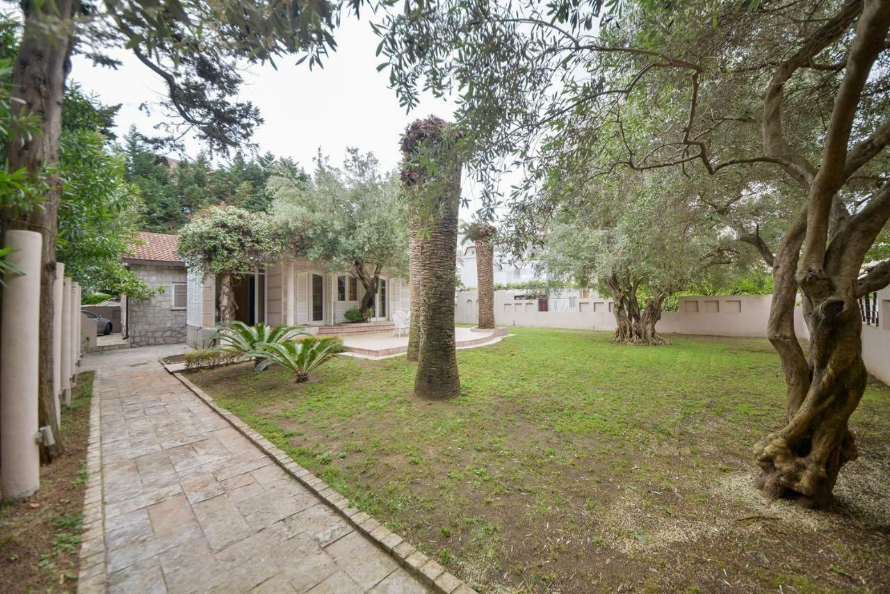 Villa Montenegro Budva Exteriér fotografie